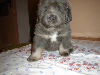 /album/aron/aron-4900-jpg/